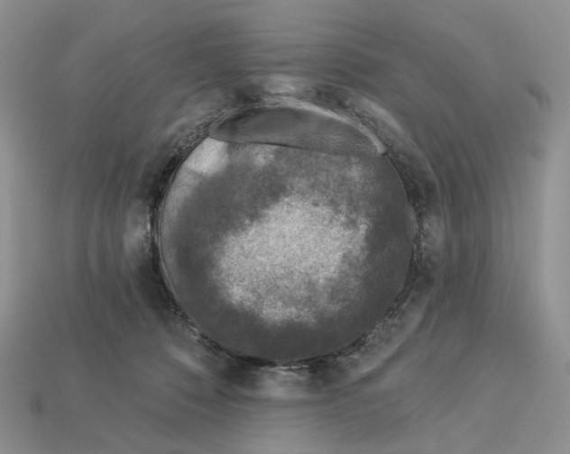 X0000112940320200909211139