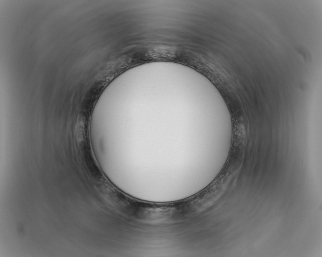 X0000112940323200909211139