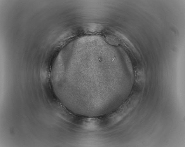 X0000112940324200909211139