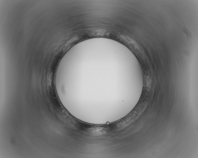 X0000112940326200909211139