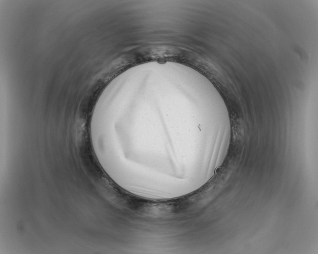 X0000112940327200909211139