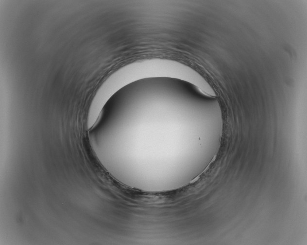 X0000112940328200909211139