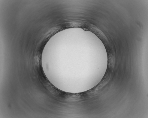 X0000112940329200909211139