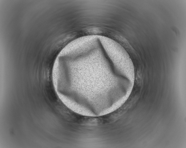 X0000112940330200909211139
