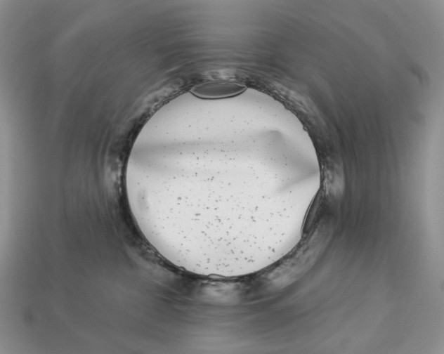 X0000112940332200909211139