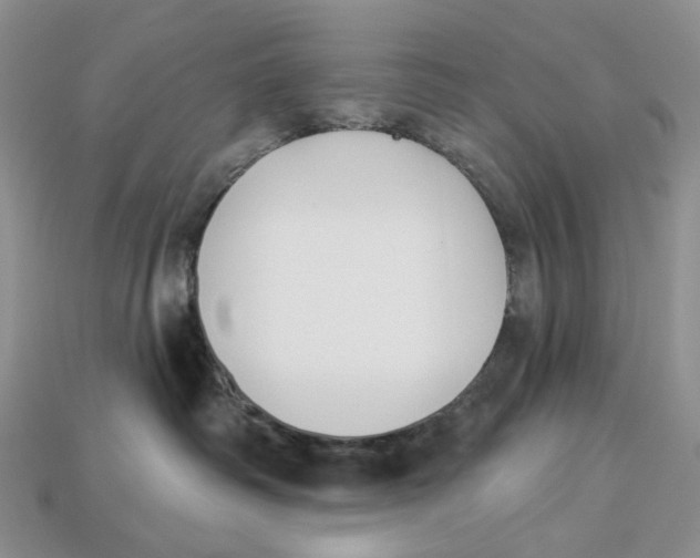 X0000112940334200909211139