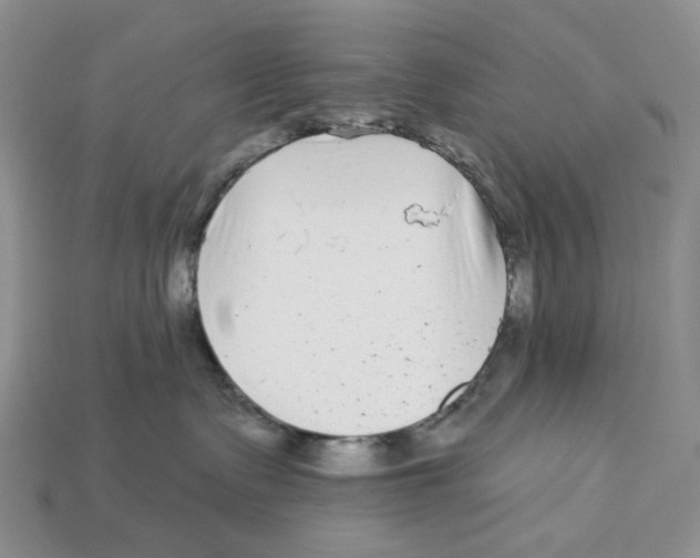 X0000112940335200909211139