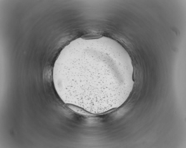 X0000112940336200909211139