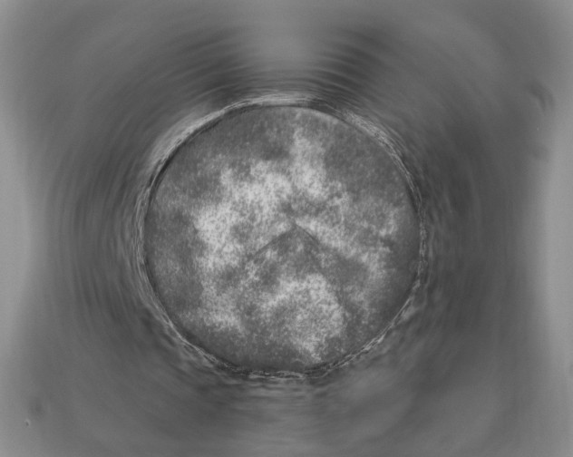 X0000112940337200909211138