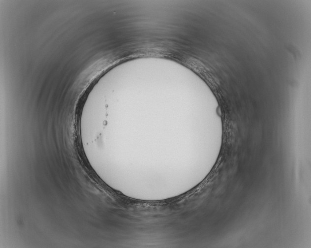 X0000112940338200909211138