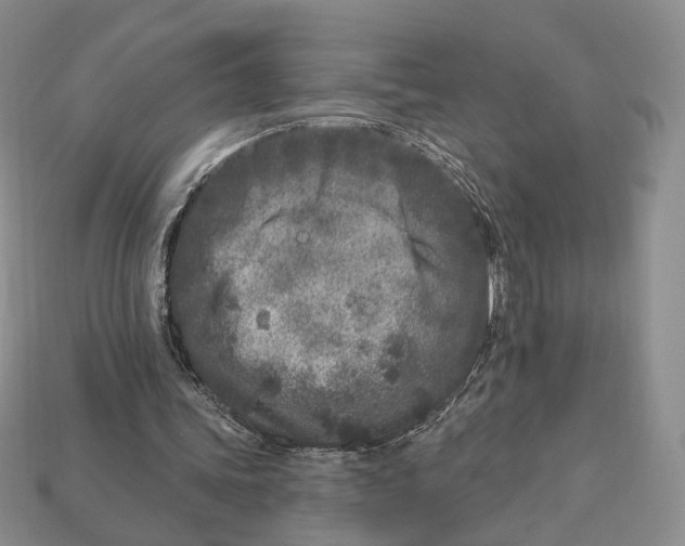 X0000112940339200909211138