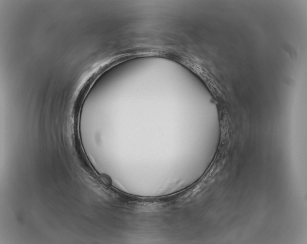 X0000112940342200909211138