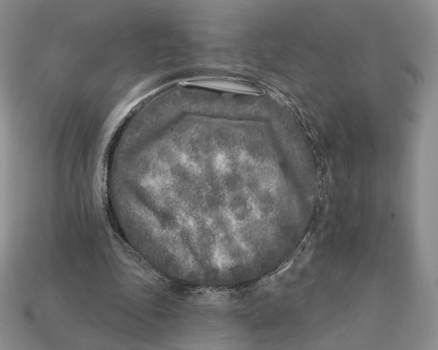 X0000112940343200909211138