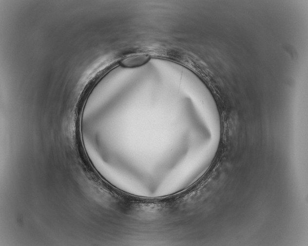 X0000112940344200909211138