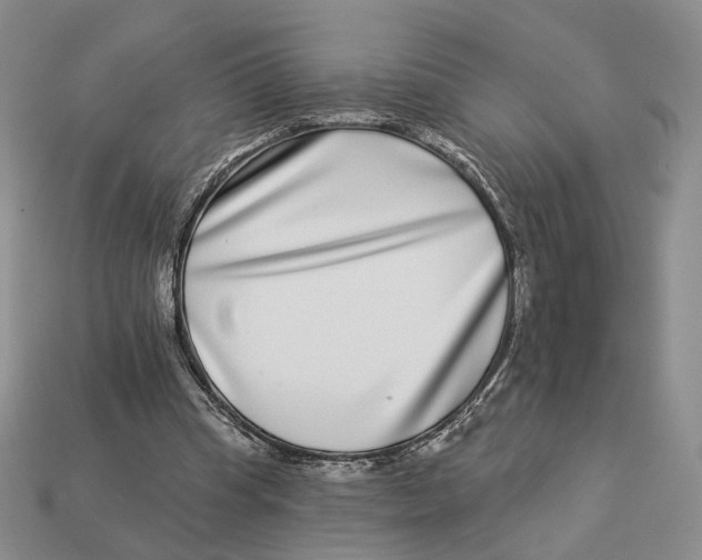 X0000112940345200909211138