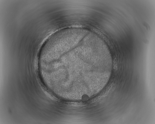 X0000112940347200909211138