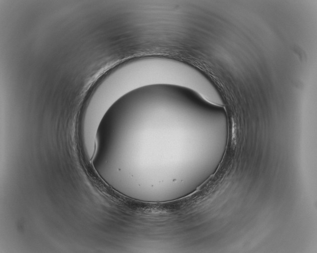 X0000112940348200909211138