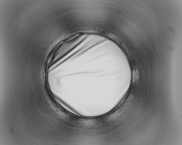 X0000112940349200909211138