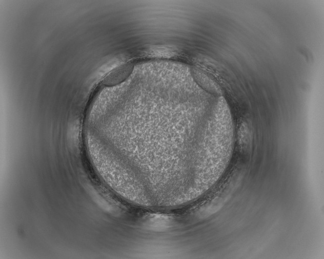 X0000112940352200909211138