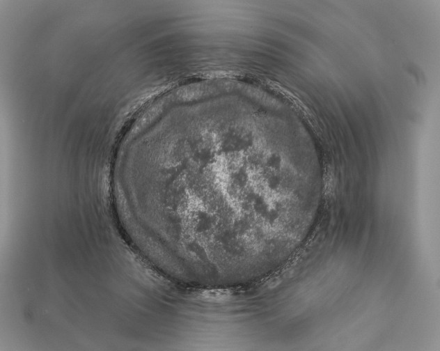 X0000112940353200909211138
