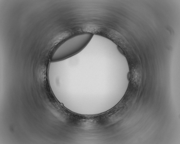 X0000112940356200909211138