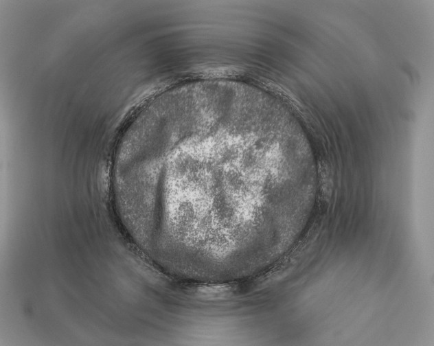 X0000112940357200909211138