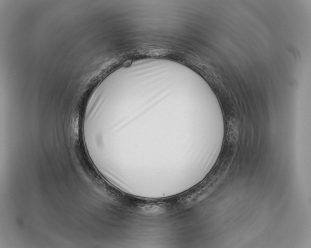 X0000112940358200909211138