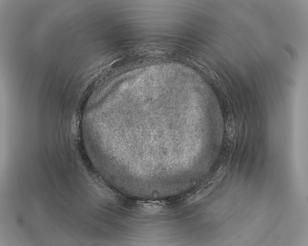 X0000112940359200909211138