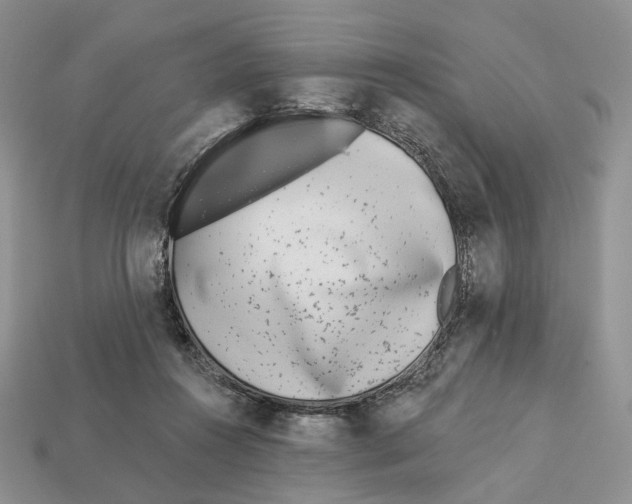 X0000112940360200909211138