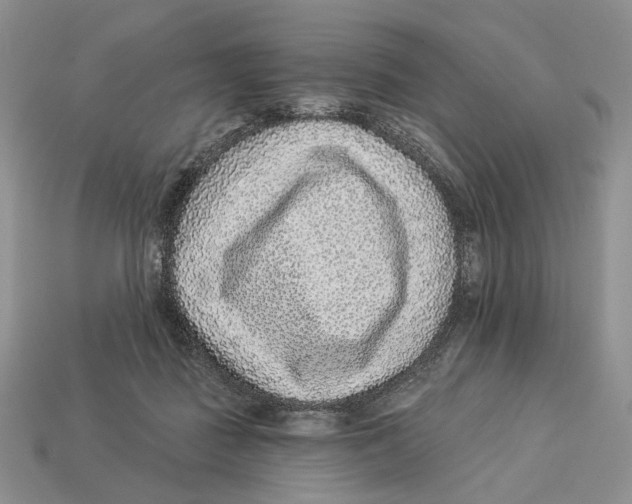 X0000112940363200909211138