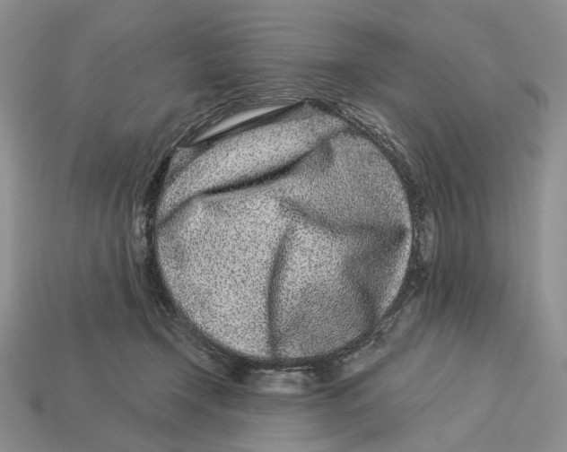 X0000112940366200909211138