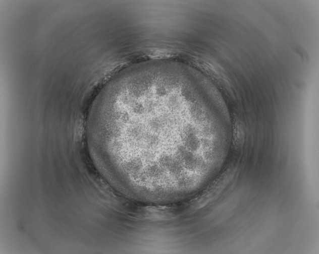 X0000112940367200909211139