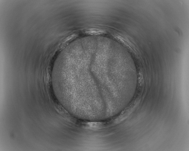 X0000112940371200909211139