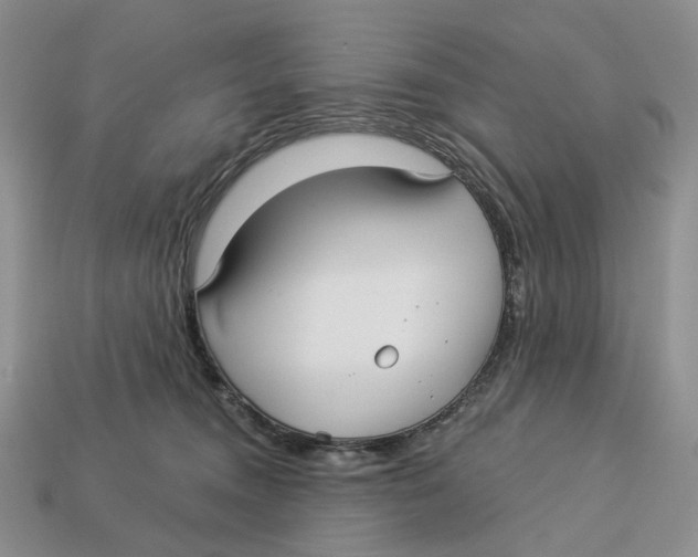 X0000112940372200909211139