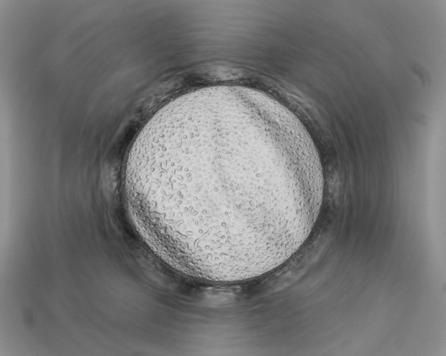 X0000112940373200909211139