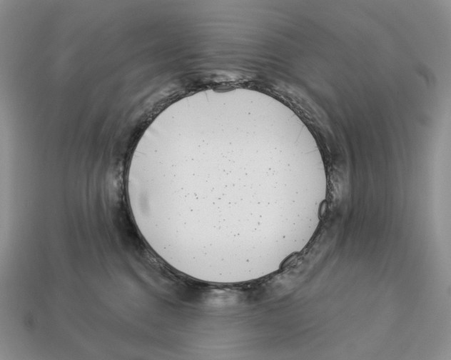 X0000112940376200909211139