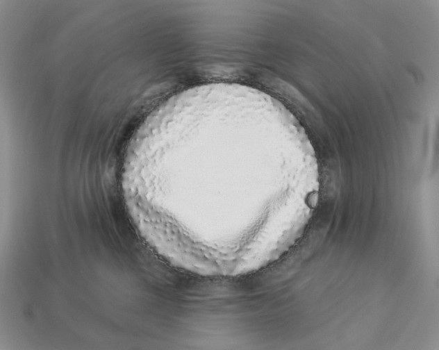 X0000112940377200909211139
