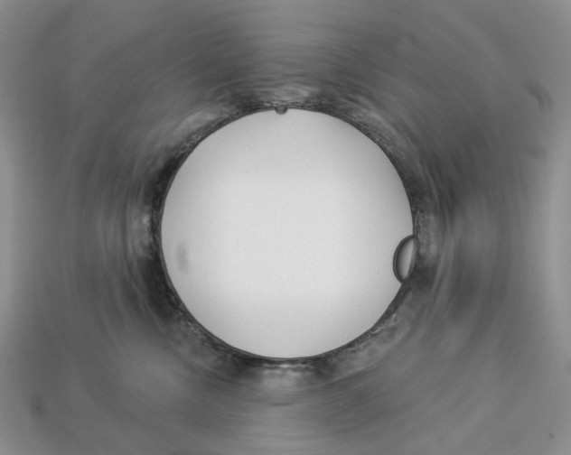 X0000112940378200909211139