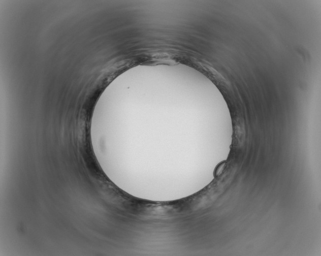 X0000112940379200909211139