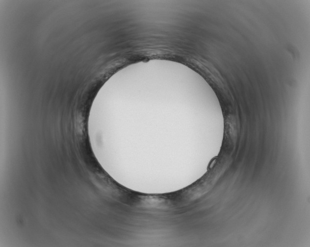 X0000112940380200909211139