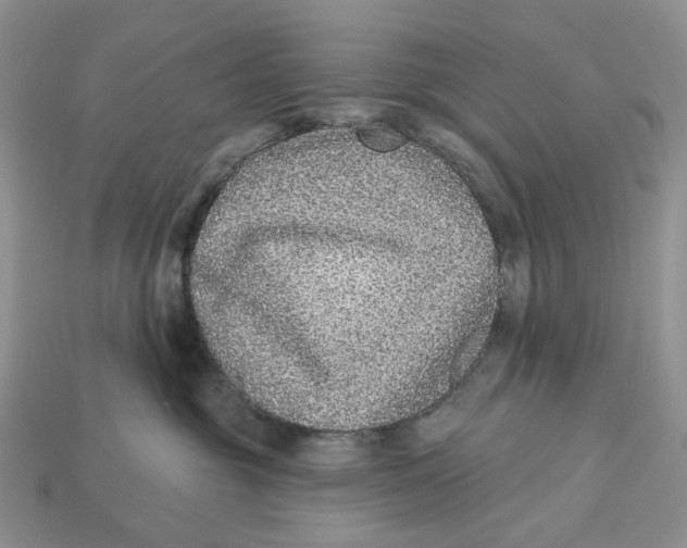 X0000112940381200909211139