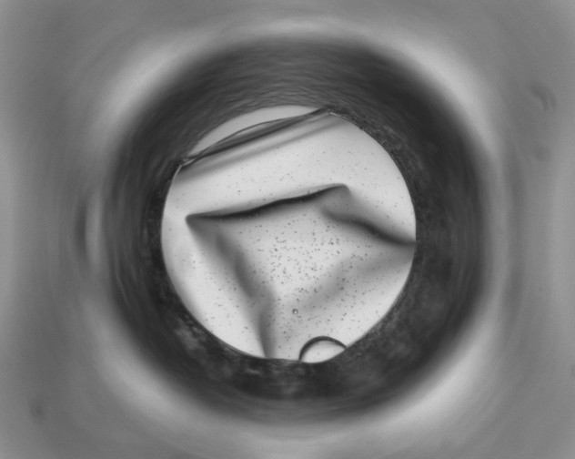 X0000112940382200909211139