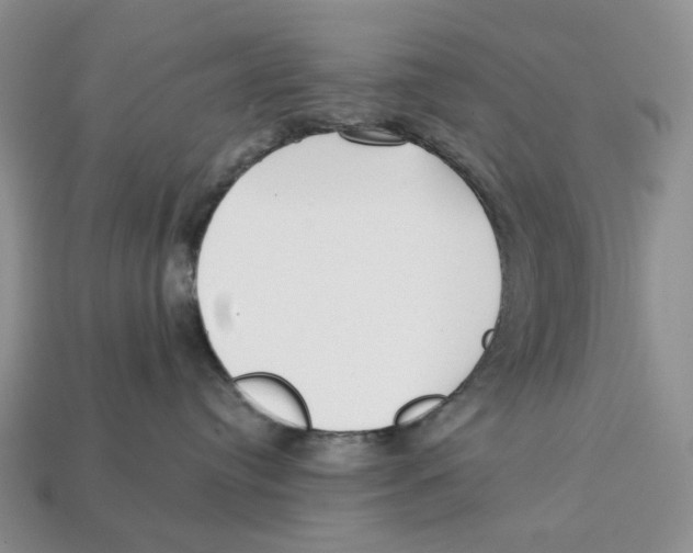 X0000112940384200909211139