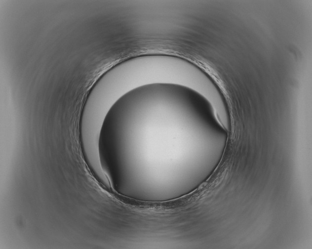 X0000112940385200909211138