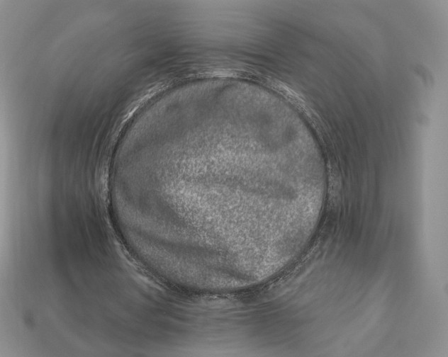 X0000112940386200909211138