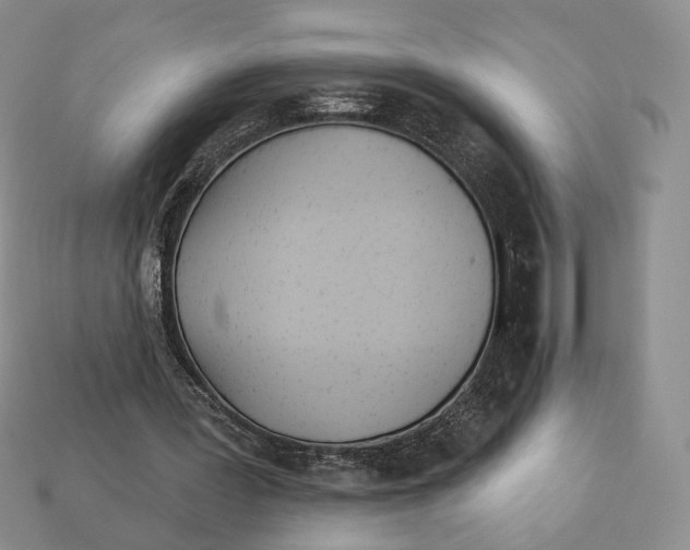 X0000112940387200909211138