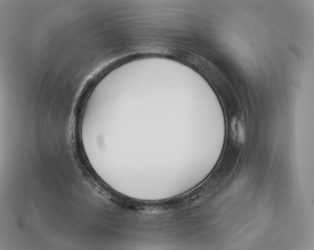 X0000112940388200909211138