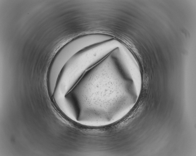 X0000112940389200909211138