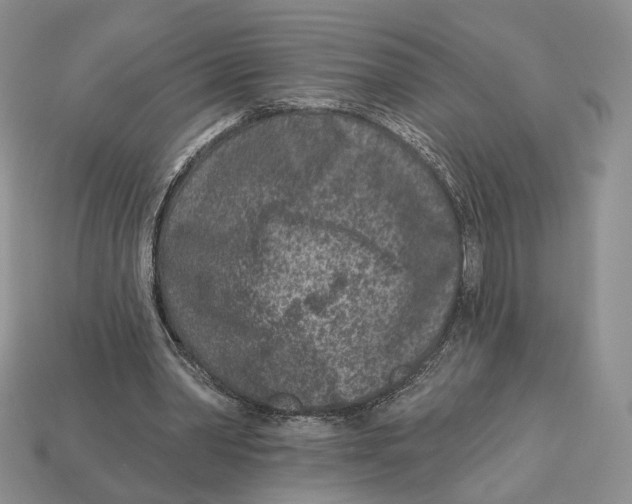 X0000112940390200909211138