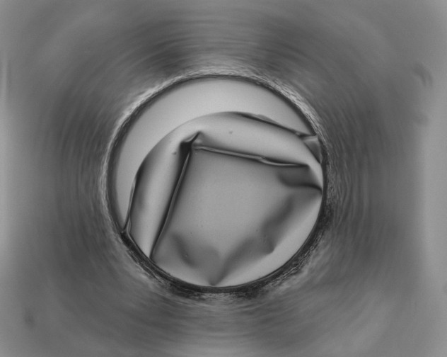 X0000112940391200909211138